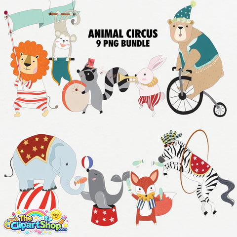 Animal Circus Clipart PNG Bundle