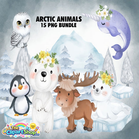 Arctic Animals Clipart PNG Bundle